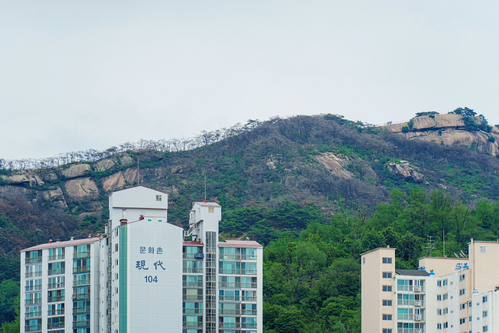 산을 배경으로 들어선 서울의 공동주택
